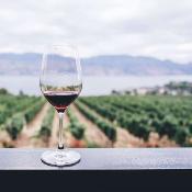Vin rouge | La Voulte Gasparet