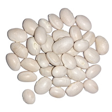 Haricots secs 1,5 kg