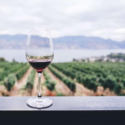 Vin rouge | Étang des Colombes